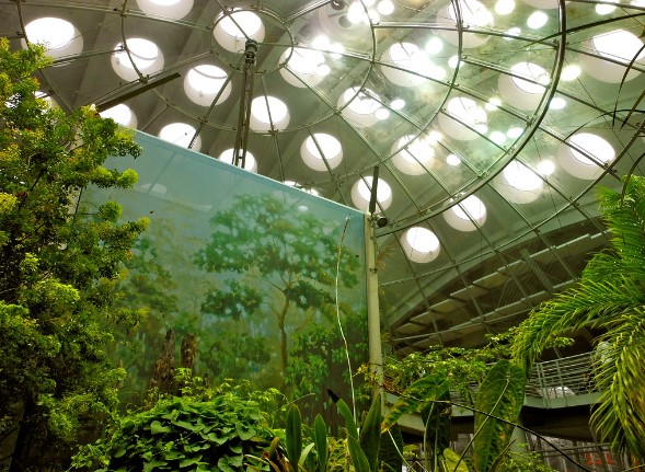 Plants inside glass dome