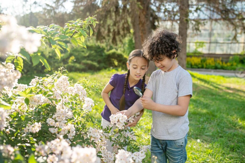 Children looking at flowers